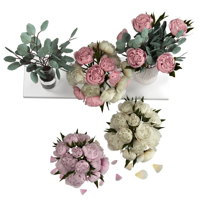 Bouquets of peonies and eucalyptus — Descargar