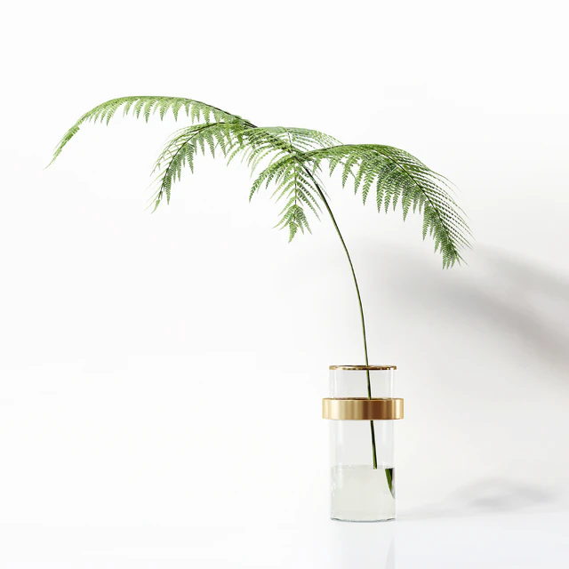 Collection Indoor Plants 058 — Descargar