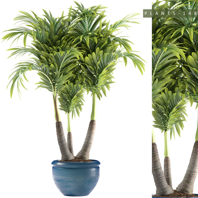 PLANTS 148 — Descargar