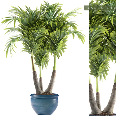 PLANTS 148 — Ver 1
