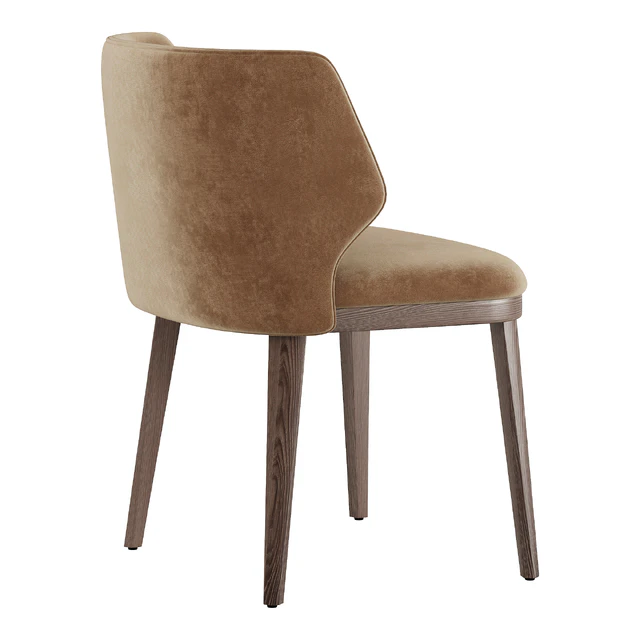 Lum bridge dining chair — Descargar