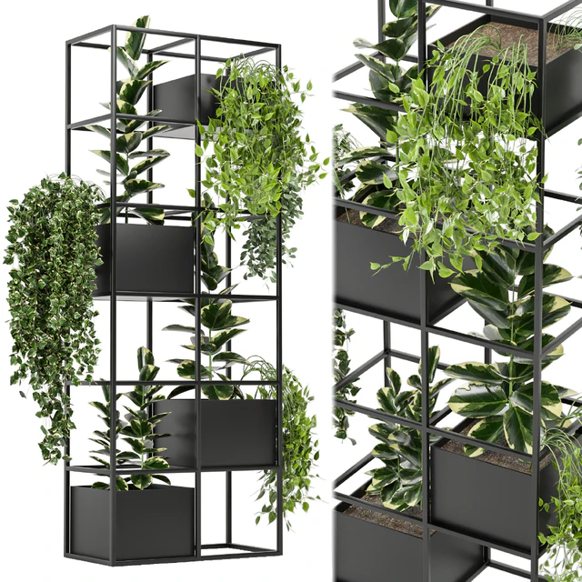 indoor plants in rusty concrete pot on metal shelf - Set 110 — Скачать