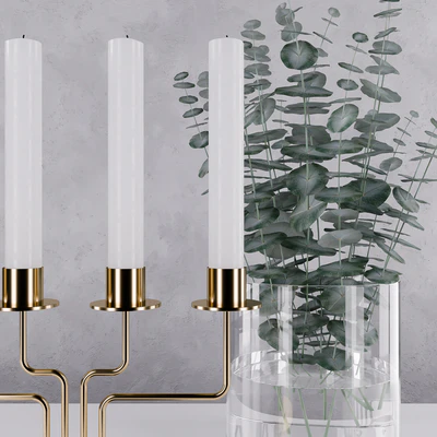 IKEA PARLBAND + Eucalyptus Perriniana — Вид 2