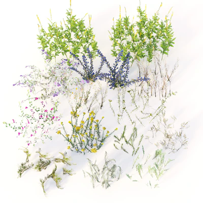 Blooming meadow grass 2 — Ver 4
