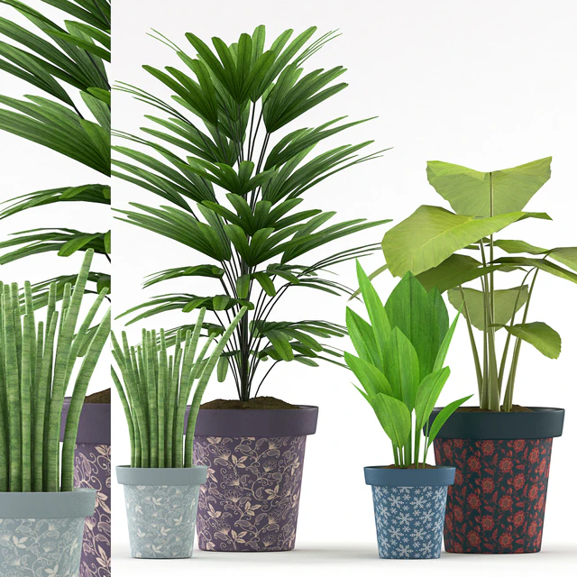 Plants 114 — Скачать
