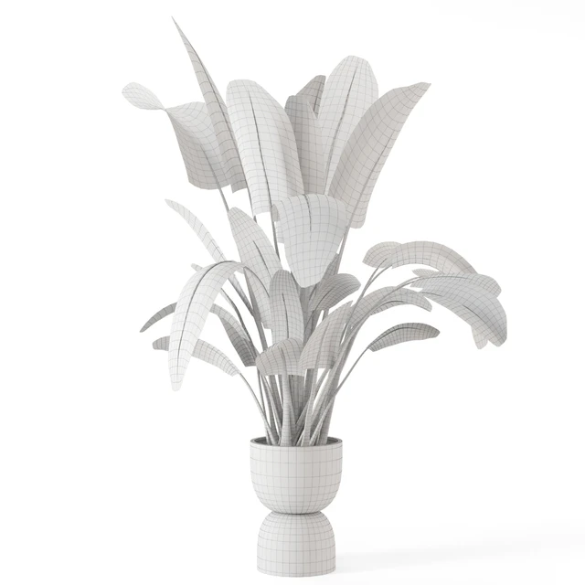Indoor Plants  in rusty Concrete Pot - Set 298 — Скачать
