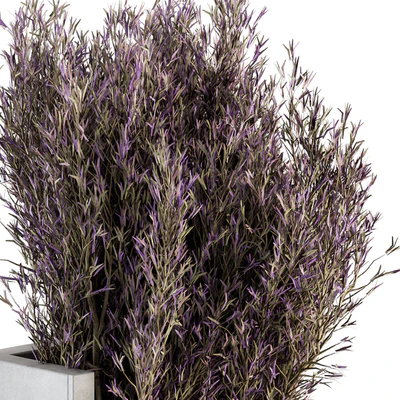 Bouquet - Lavender Branch in vase 38 — Ver 4