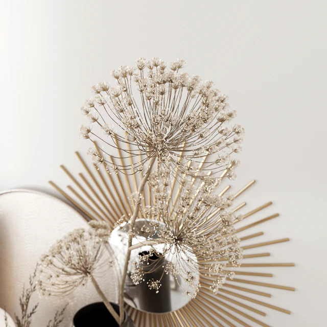 Set with heracleum — Скачать