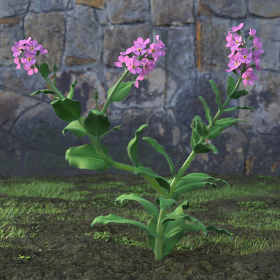 garden flowers 043 — Download