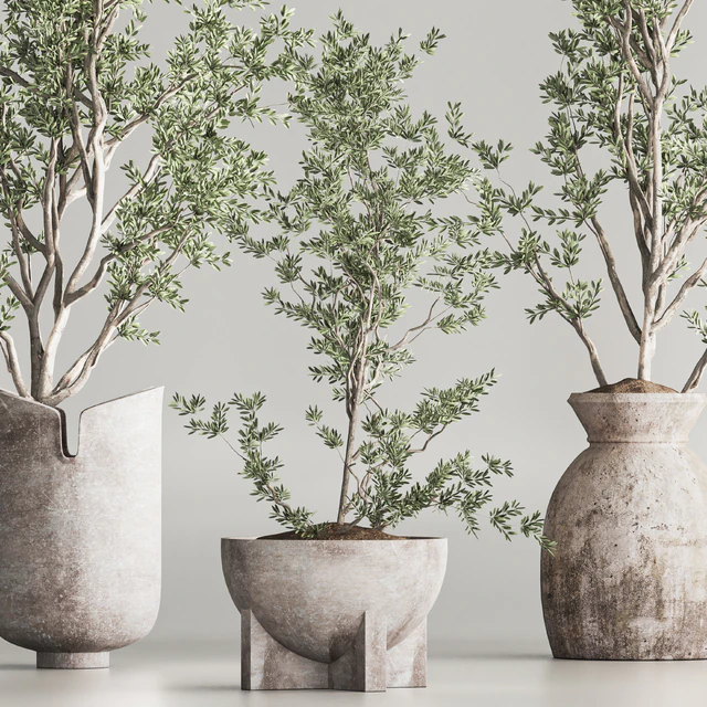 Indoor Plant Set 79 — Descargar