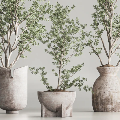 Indoor Plant Set 79 — Ver 5