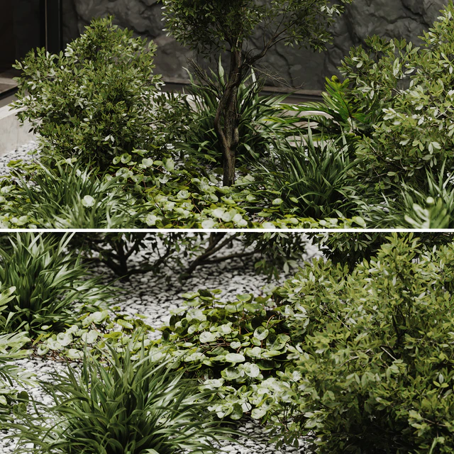 indoor plant set 50 — Descargar