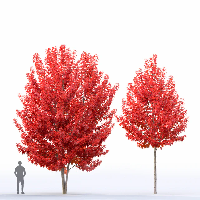 Acer — Descargar