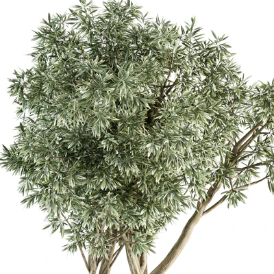 Needle tree and Bush - Outdoor Garden Set 305 — Ver 2