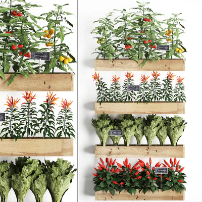Vertical gardening. 45 Kitchen garden, kitchen garden, vegetables, herbs, peppers, tomatoes, tomatoes, Lettuce, phytomodule, phytowall, eco design, natural decor, vegetable garden — Ver 1