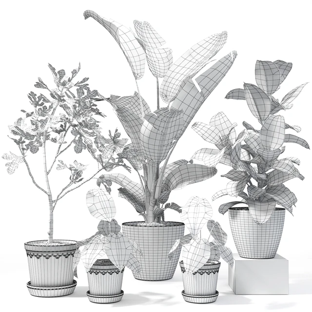 Set of plants 10 — Descargar