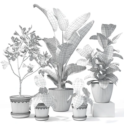 Set of plants 10 — Ver 4