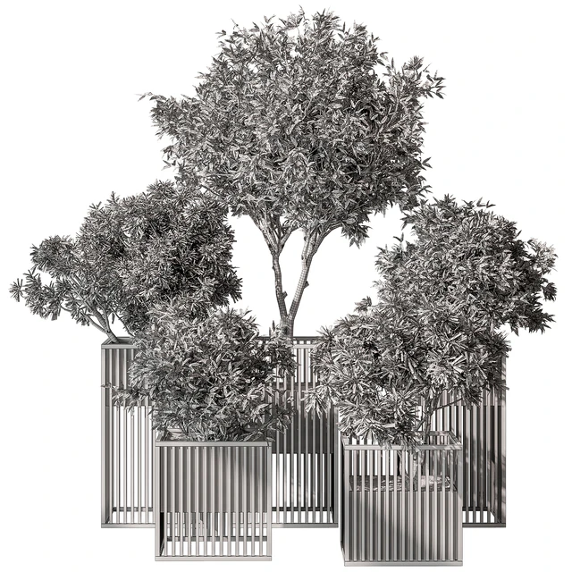 indoor Plant Set 380- Tree and Plant Set in pot — Descargar