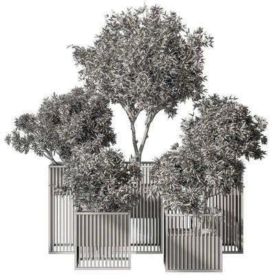 indoor Plant Set 380- Tree and Plant Set in pot — Ver 4