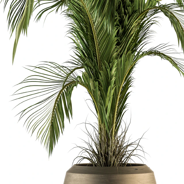 indoor Plant Set 132 - Tropical Plant — Descargar