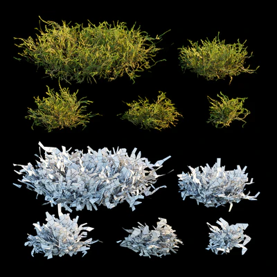 Forest moss — Ver 2