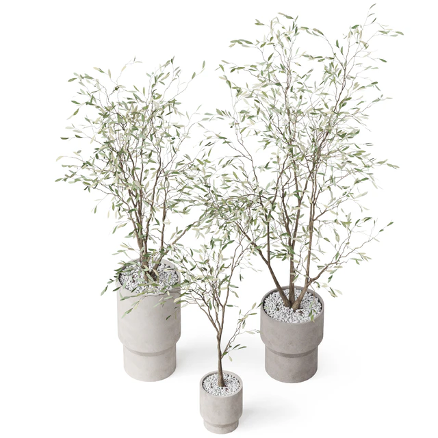 Plants collection 900 — Скачать