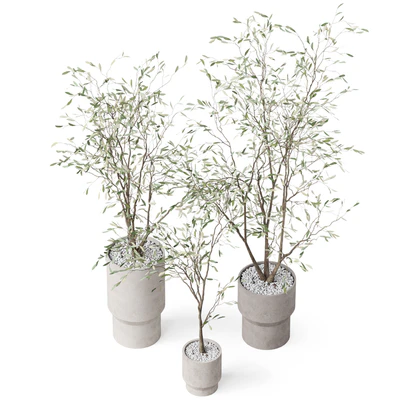 Plants collection 900 — Вид 2