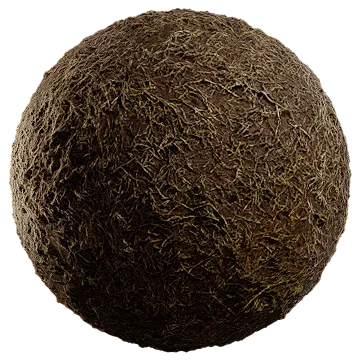 dried grass on damp soil 005 — Descargar