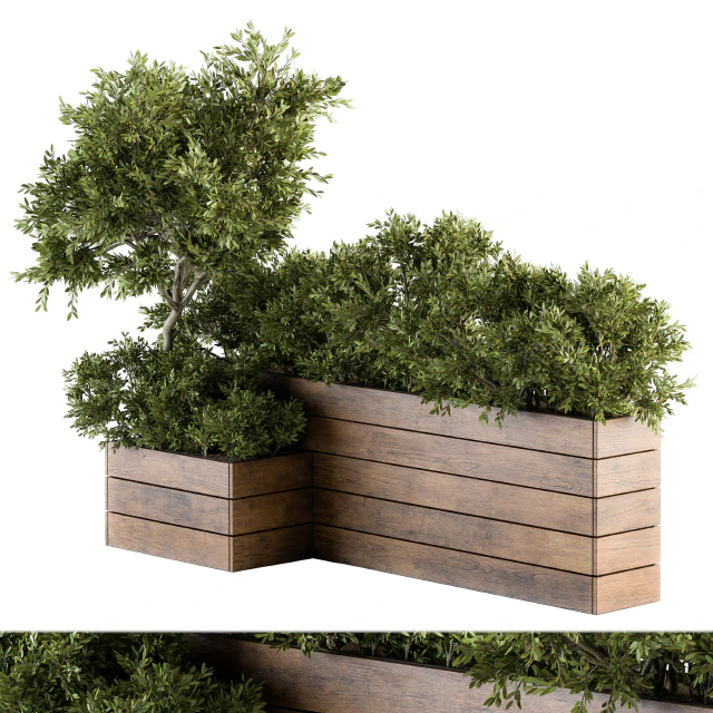Outdoor Plants tree in Wood Box - Set 154 — Descargar