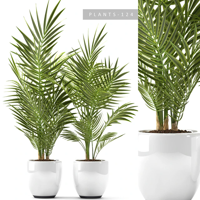 PLANTS 124 — Descargar