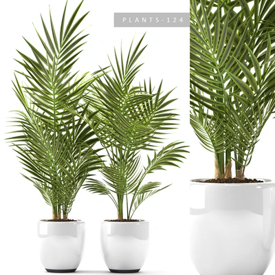 PLANTS 124 — Ver 1