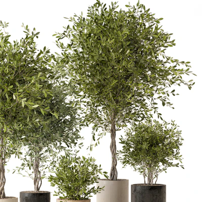 Indoor Plants in Ferm Living Bau Pot Large - Set 354 — Вид 2