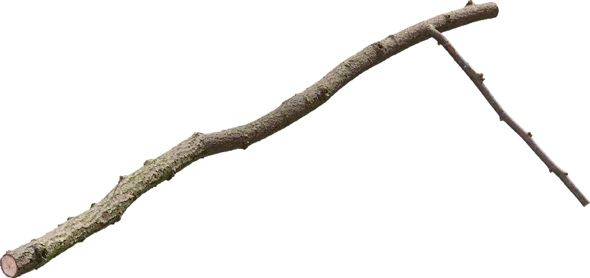 linden branch 002 — Скачать