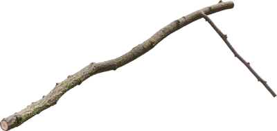 linden branch 002 — Скачать