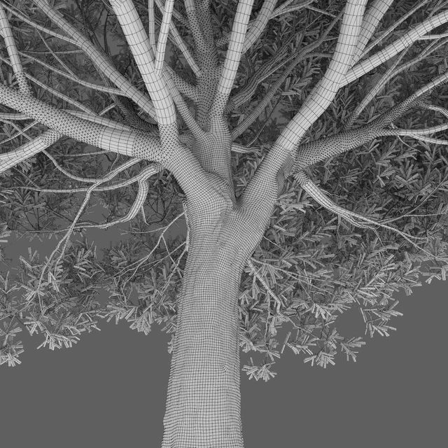 Willow — Descargar