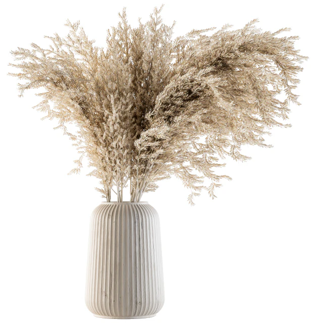 Dry plants 36 - Dried Plant Pampas — Descargar