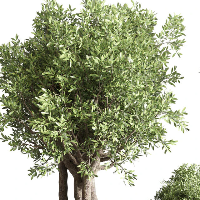 collection Indoor outdoor plant 122 pot tree plant bush dirty concrete vase pot — Descargar