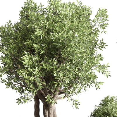 collection Indoor outdoor plant 122 pot tree plant bush dirty concrete vase pot — Ver 3