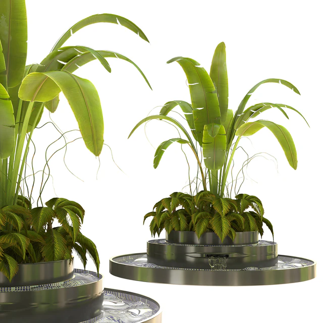 Outdoor Plant Vol 07 — Descargar