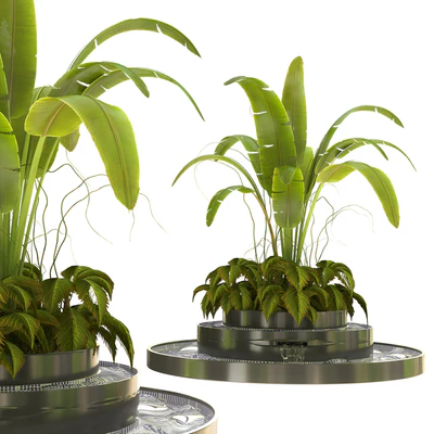 Outdoor Plant Vol 07 — Ver 1