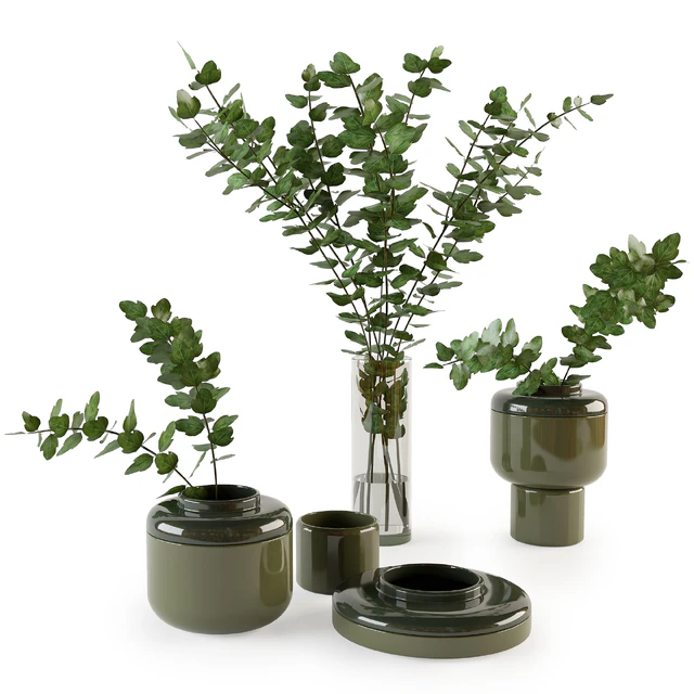 Decorative set with plants — Descargar