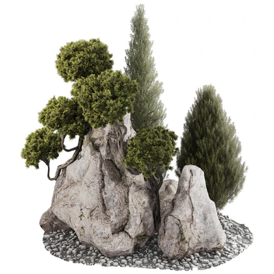backyard and landscape pine tree garden and rocks 269 — View 3