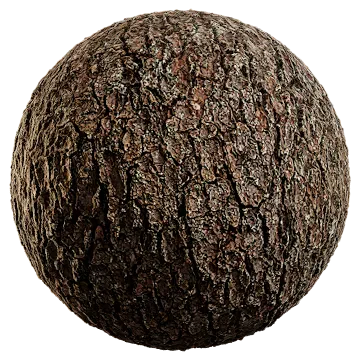 nordic forest detail bark fir coarse 001 — Descargar