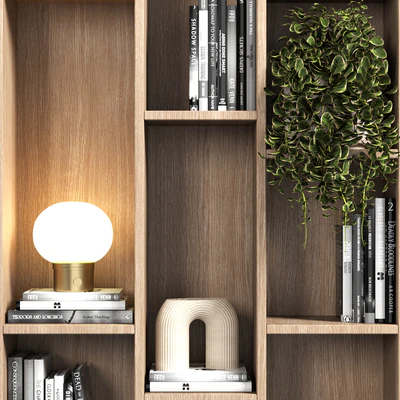 Cabinet with shelves 088 — Ver 3