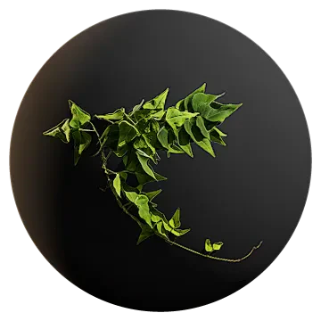 hanging vine 006 — Descargar