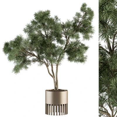 indoor Plant Set 337 - Tree in Gold pot — скачать
