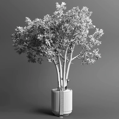 Indoor outdoor plant 111 pot friendship-love tree concrete vase — Вид 2