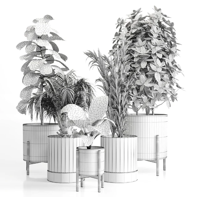 Indoor plant 20 — Скачать