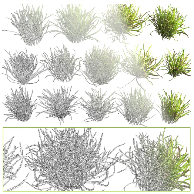 Lawn landscape — Скачать