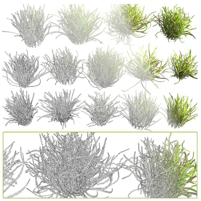 Lawn landscape — Вид 2